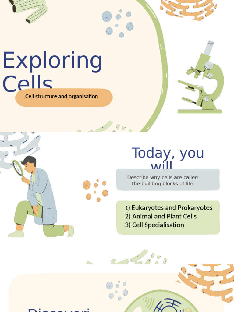 Understanding Cell Structure and Functions | PDF | Cell (Biology ...