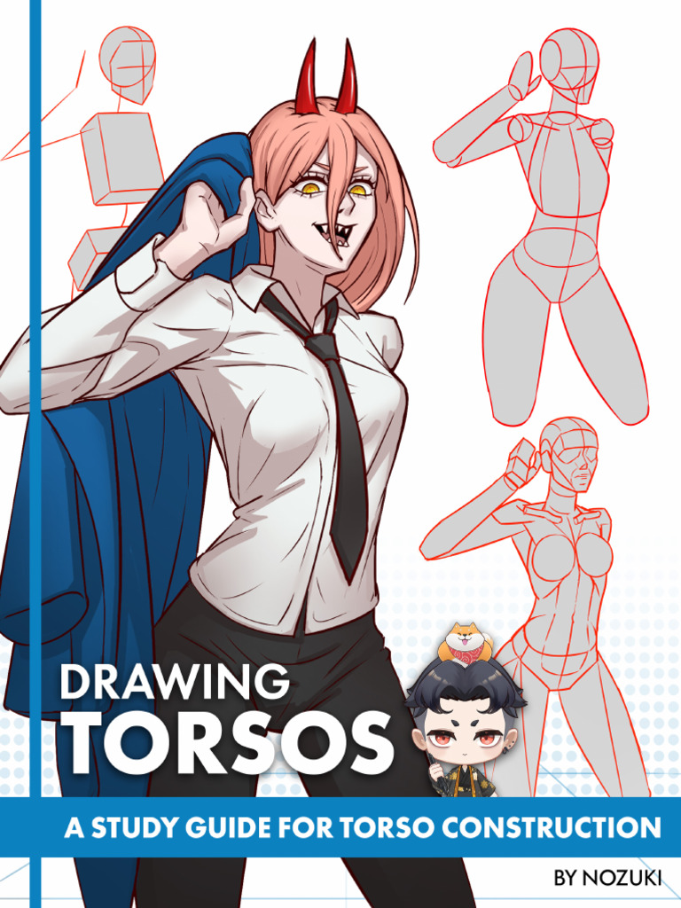 Torso Construction Study Guide | PDF | Pelvis | Drawing