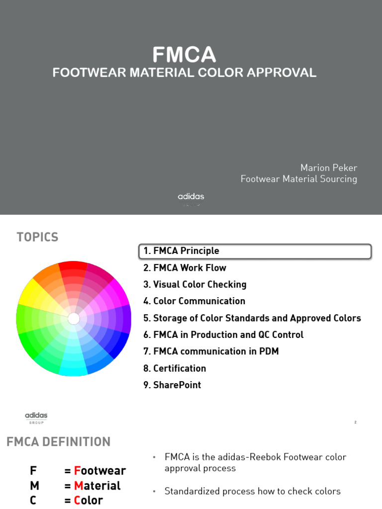 FMCA Footwear Color Approval Process | PDF | Color | Light