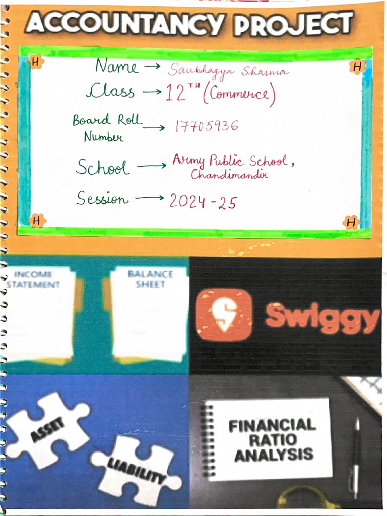 Accounts Project File | PDF