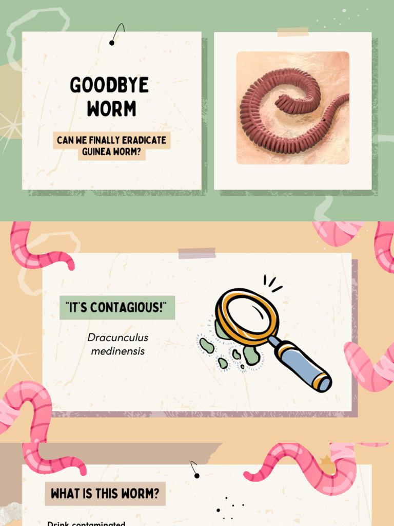 Pathogens and Communicable Diseases Education Presentation in Light ...