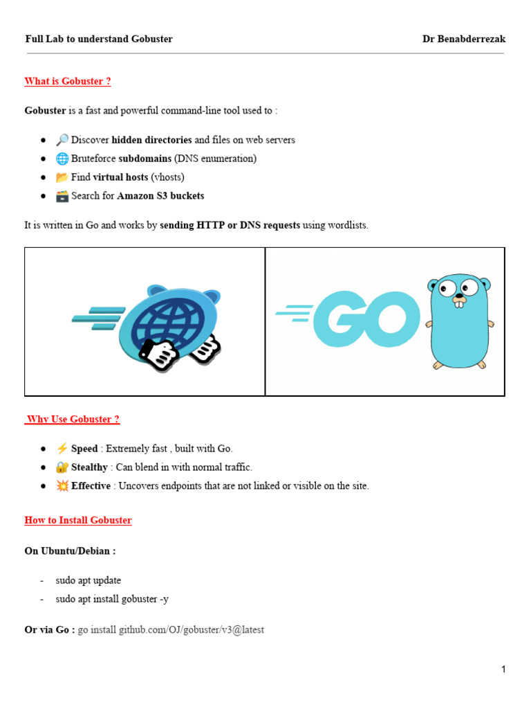 Mastering Gobuster: A Comprehensive Guide | PDF | Domain Name System ...