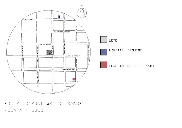 Mapa Saude | PDF