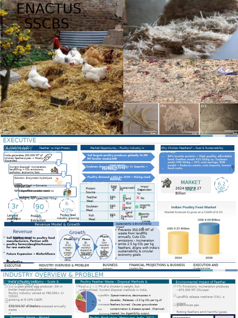 Upcycling Chicken Feathers for Poultry Feed | PDF | Waste | Poultry Farming