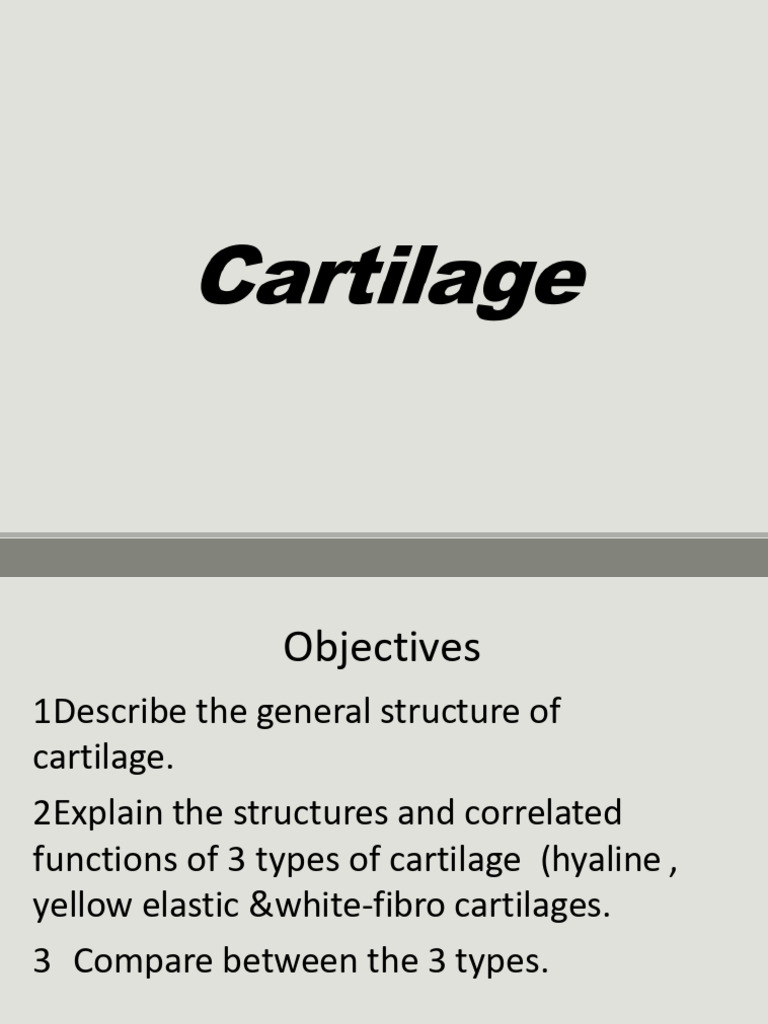 Types and Functions of Cartilage Explained | PDF | Cartilage ...