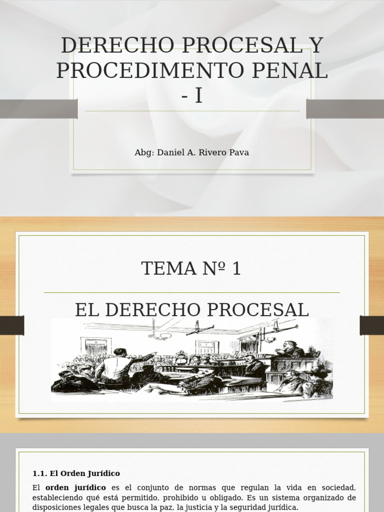 D.P.P. Diapositiva Tema 1 | PDF | Ley procesal | Derecho penal