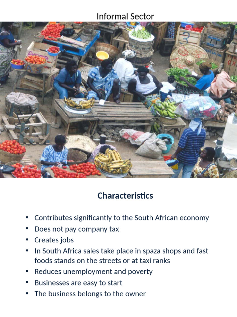 South Africa's Informal Sector Insights | PDF
