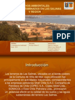 Activos Ambientales - Las Salinas Viña Del Mar