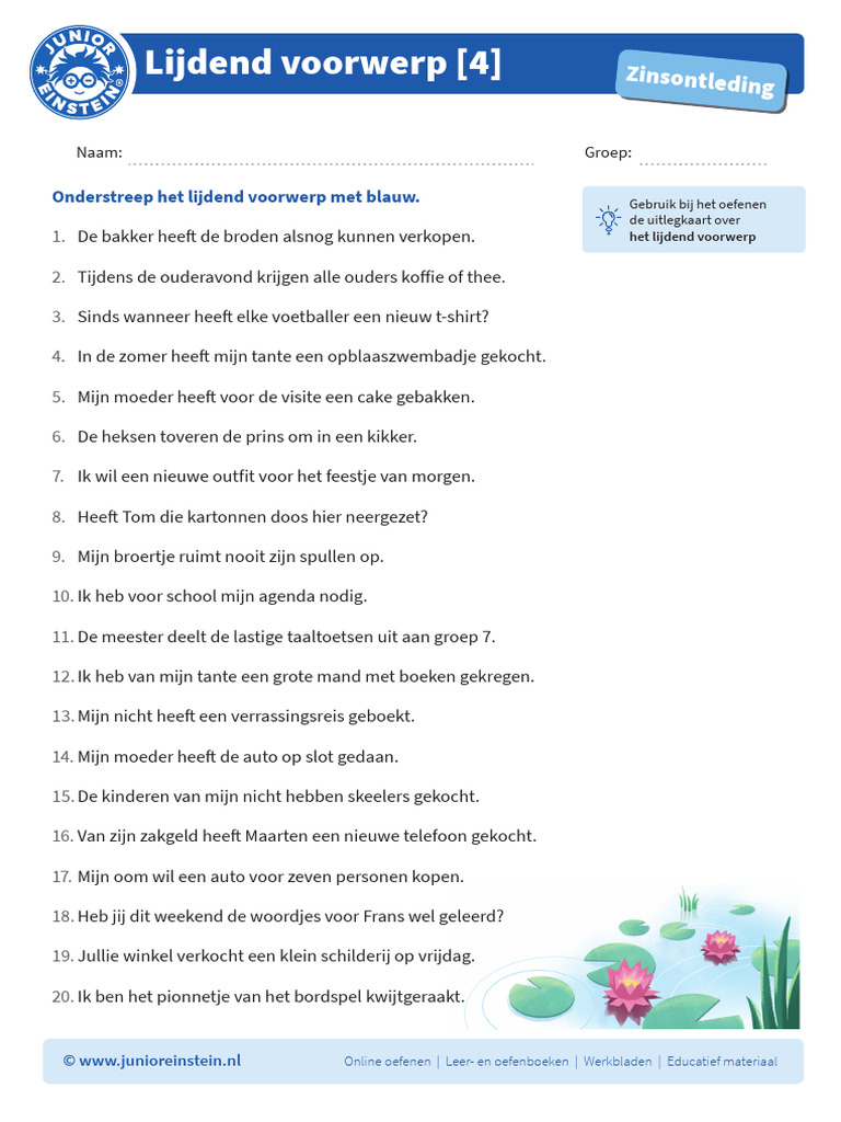 ned-les-het-lijdend-voorwerp-oefening-pdf