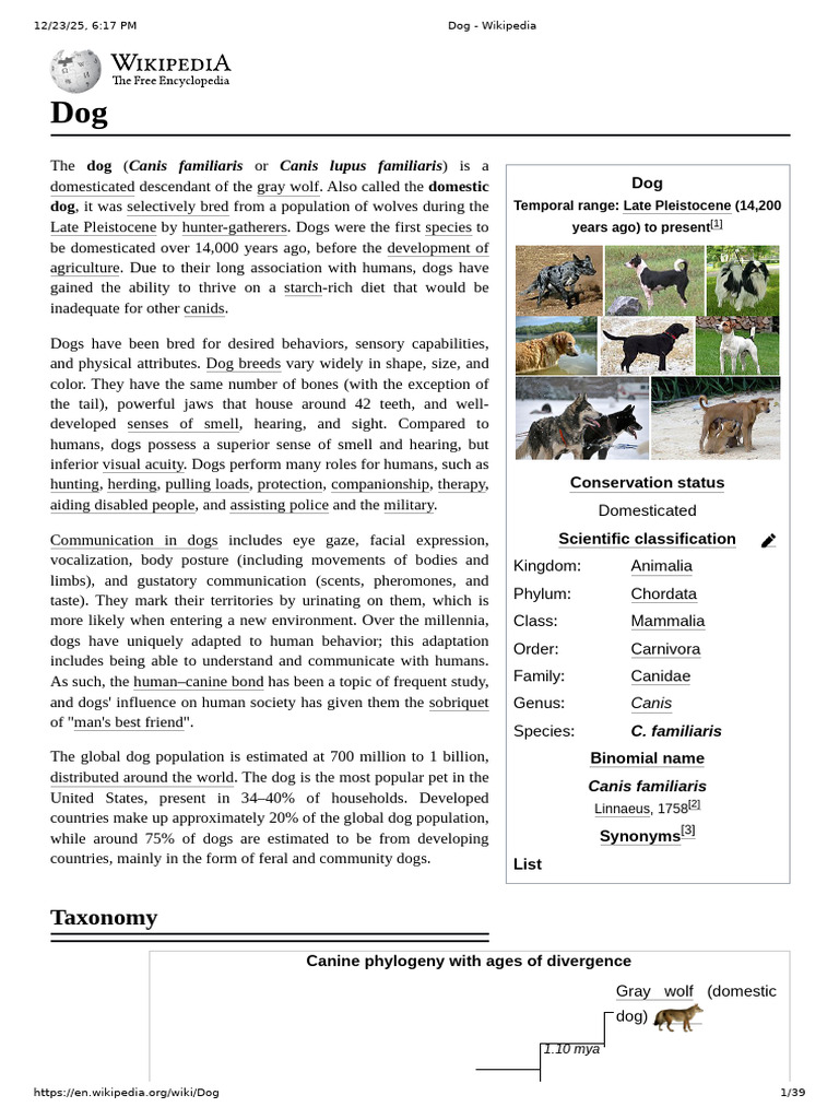 Dogs | PDF | Dogs | Neutering
