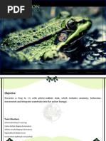 Download Frog Dissertation by creatingcreator SN97103697 doc pdf