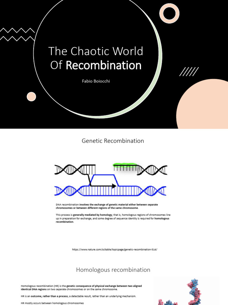 Understanding Homologous Recombination | PDF | Dna | Cellular Processes