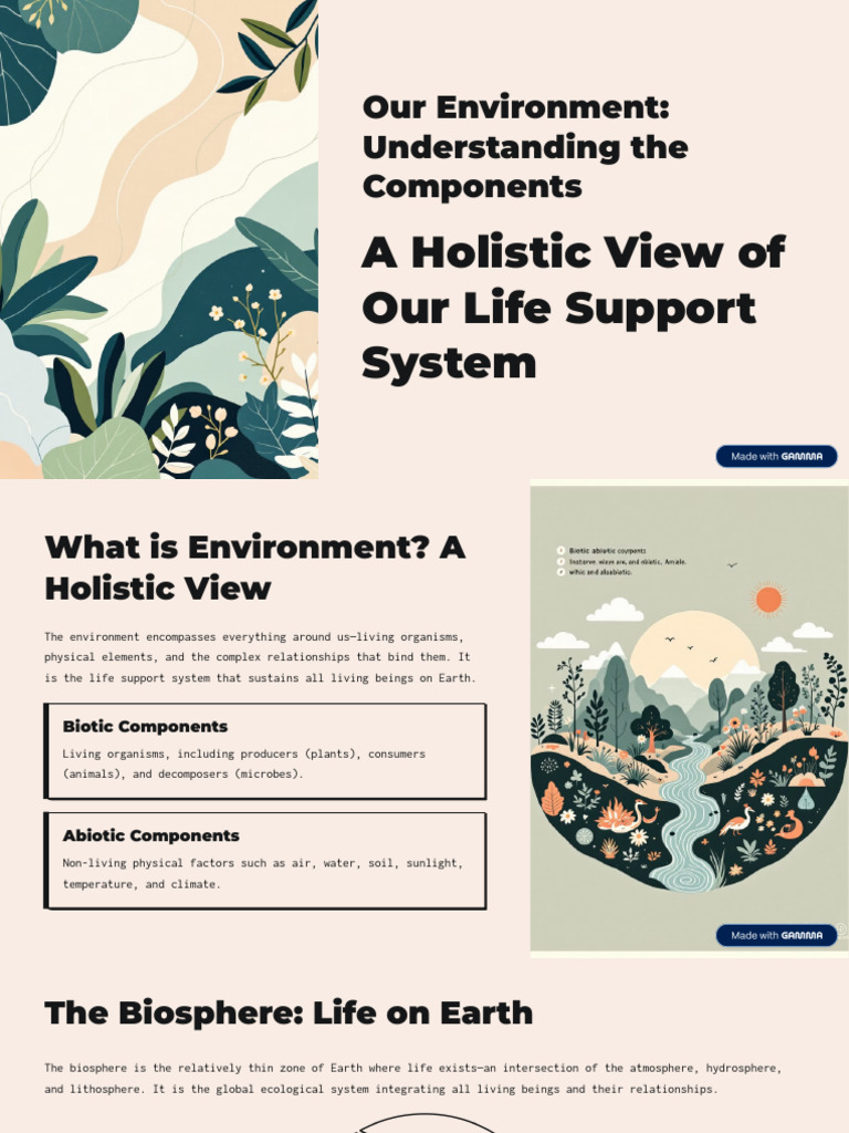 Our Environment Understanding the Components | PDF | Natural ...