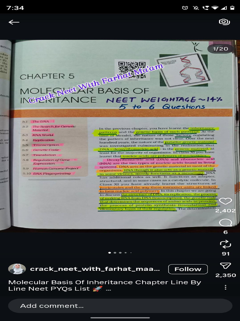 Molecular Basis of Inheritance Ncert Underline | PDF