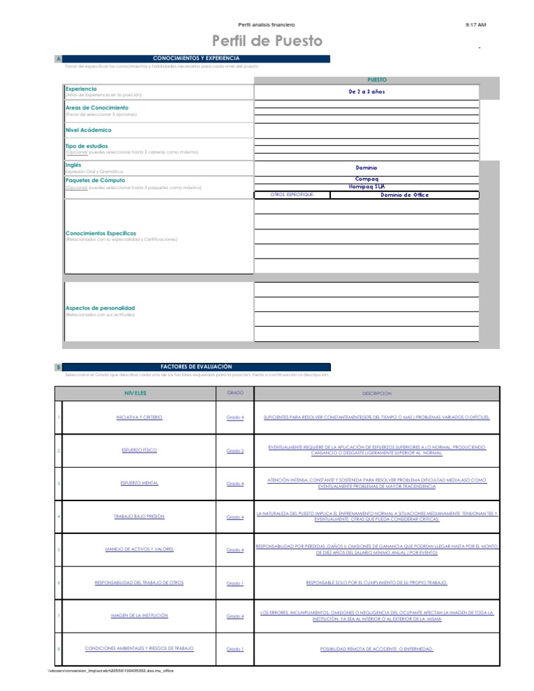 Formato de Perfil de Puestos en Excel PDF