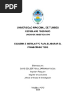 Esquema e Instructivo Proyecto Tesis UNT
