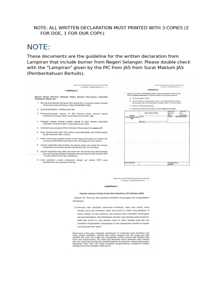 DOE Written Declaration Guidelines | PDF | Computing