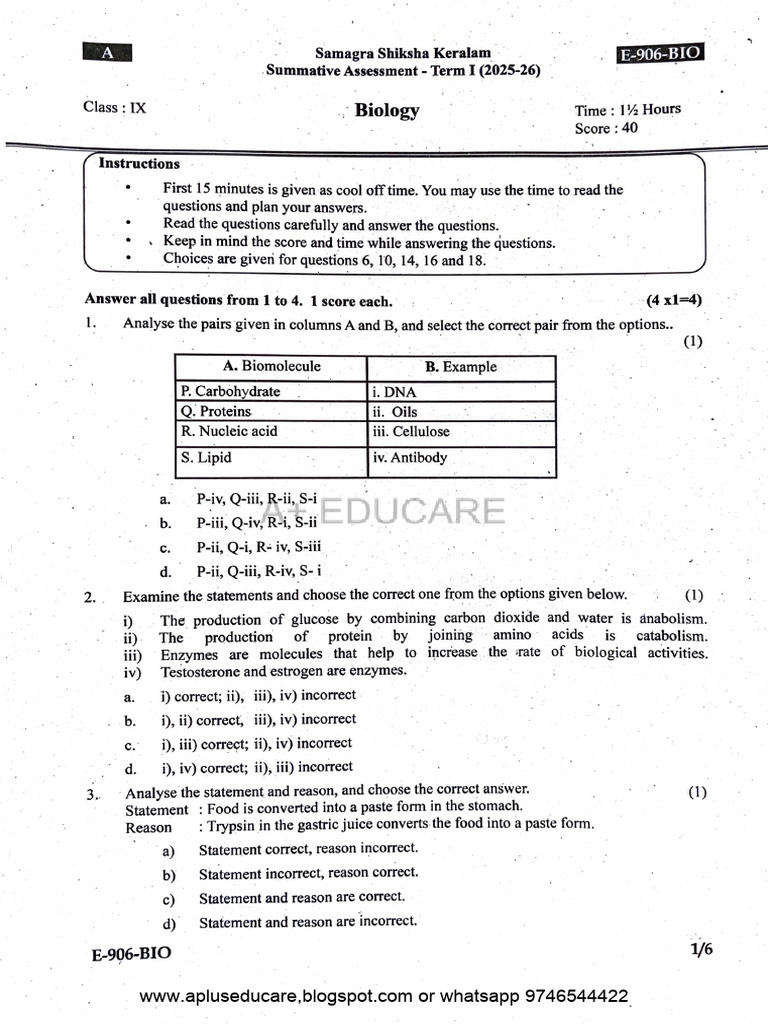 A Plus Educare Contact Information | PDF