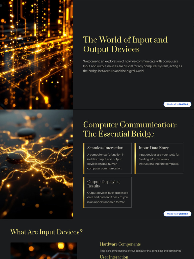 Input and Output Devices Explained | PDF
