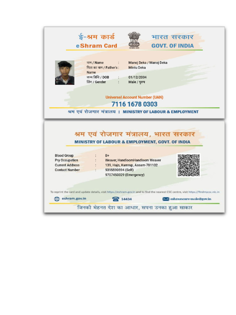 E-Sram Card (Manoj Deka) | PDF