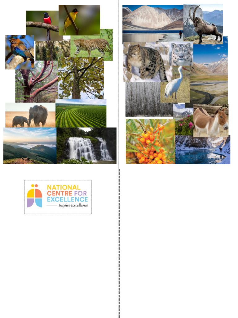 Collage | PDF