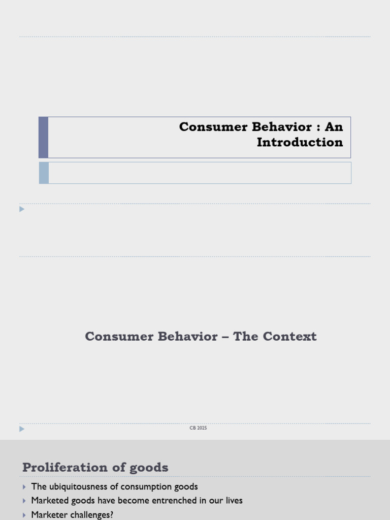 Understanding Consumer Behavior Insights | PDF | Perception | Consumer ...