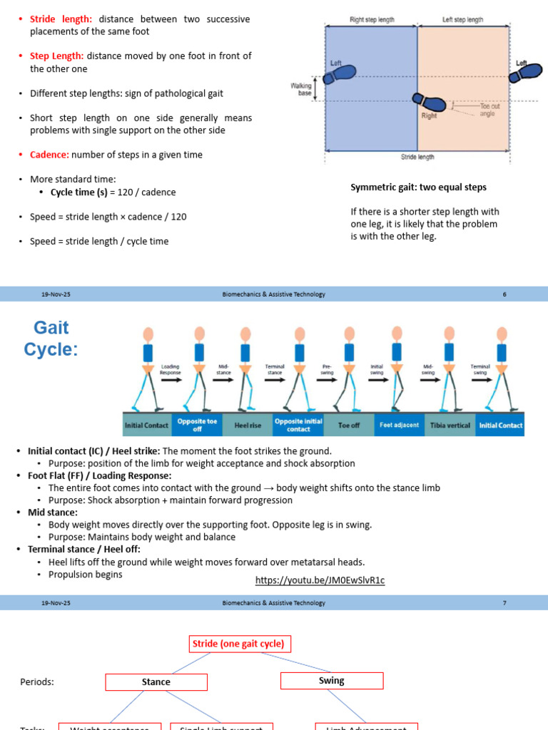 Understanding Gait Mechanics and Pathologies | PDF | Foot | Anatomical ...