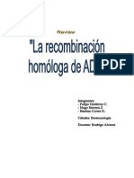 Resumen Recombinacion Homologa