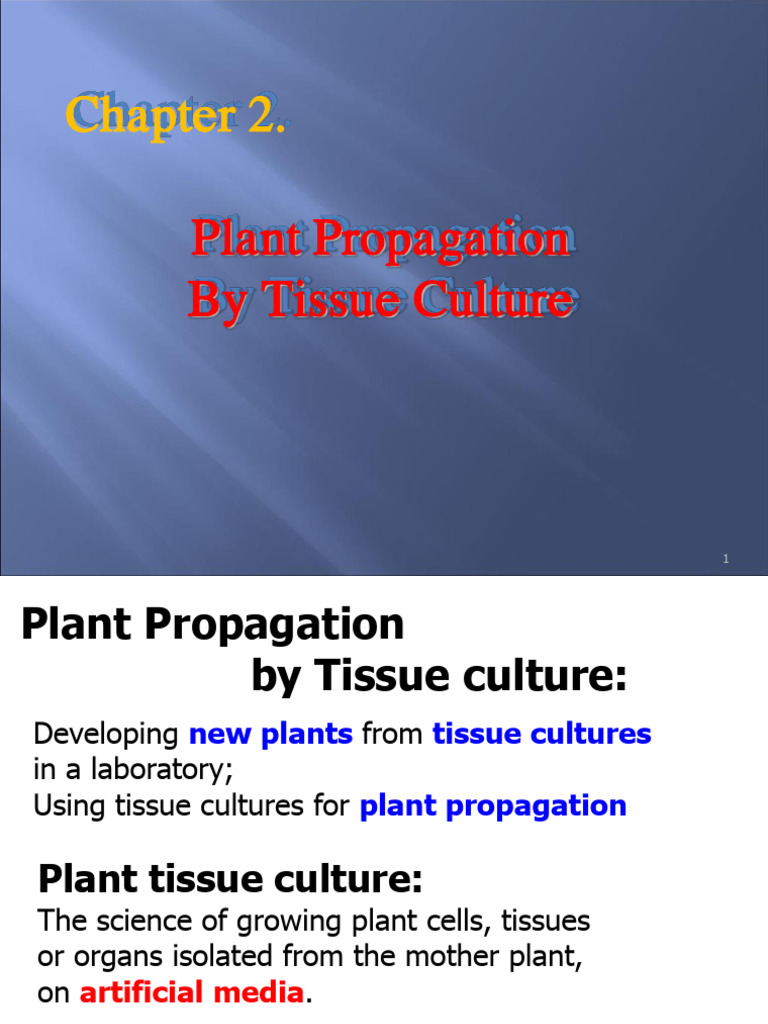 Plant Propagation via Tissue Culture | PDF | Plant Hormone | Auxin