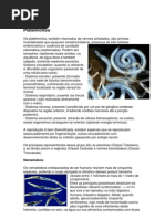 Trabalho de Biologia