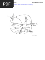 Rye Baker Recipe Conversions Guide | PDF | Rye | Cereals