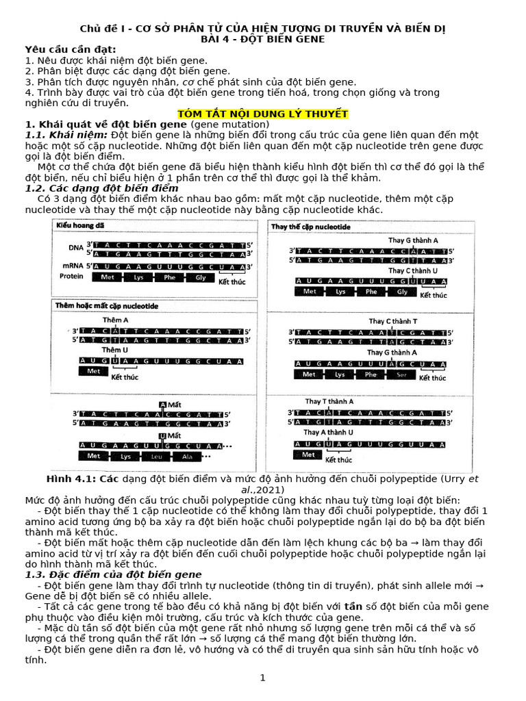 Bai 4 Dot Bien Gen Dap An | PDF
