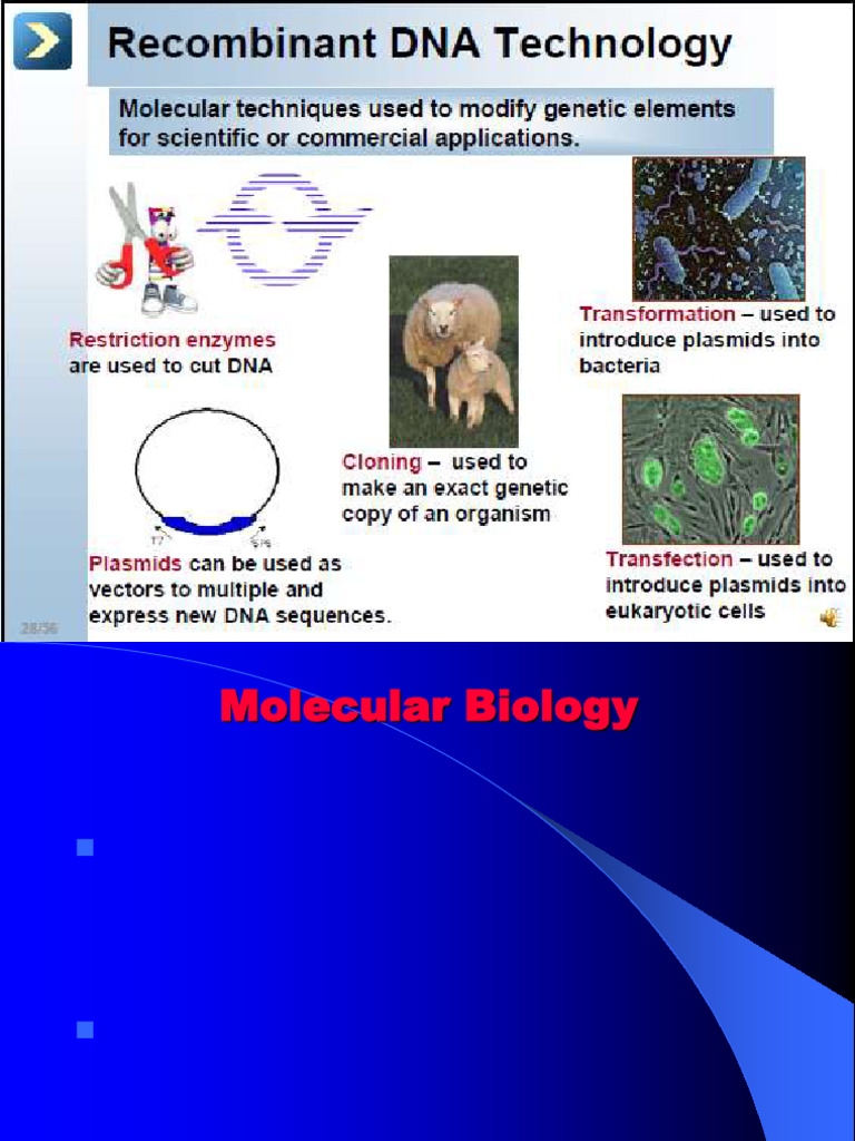 4-Recombamint DNA-c موليكلر 4 | PDF | Molecular Cloning | Molecular Biology