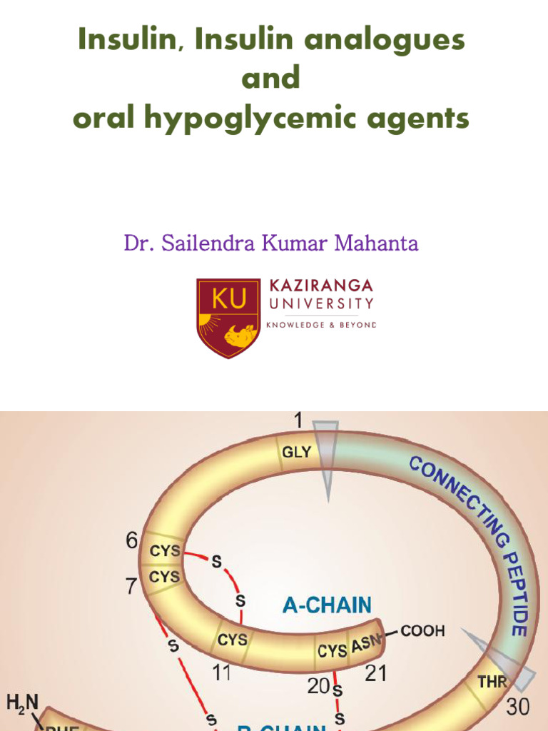 Insulin and Oral Hypoglycemic Agents Overview | PDF | Insulin | Glucose