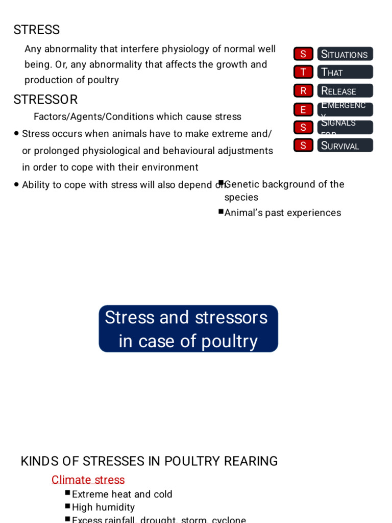Poultry Stress Management Strategies | PDF | Adrenocorticotropic ...