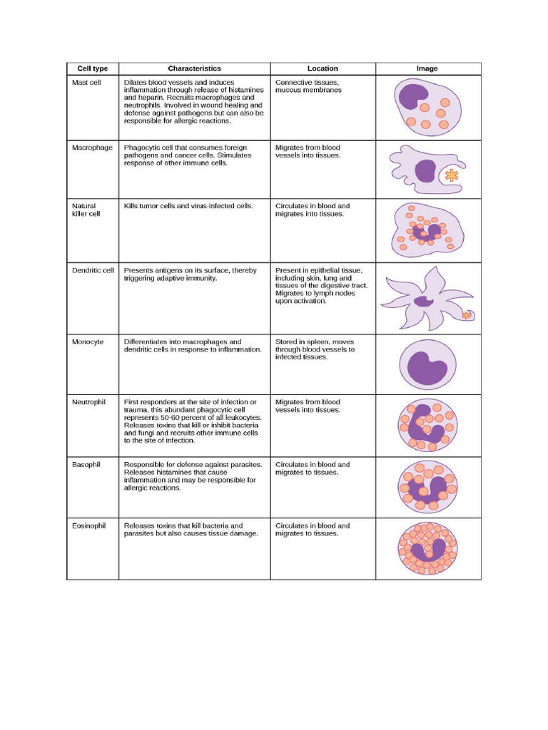 MS Immune Cells Summary Table | PDF