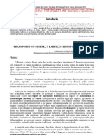 Translocação no floema e transporte de fotoassimilados