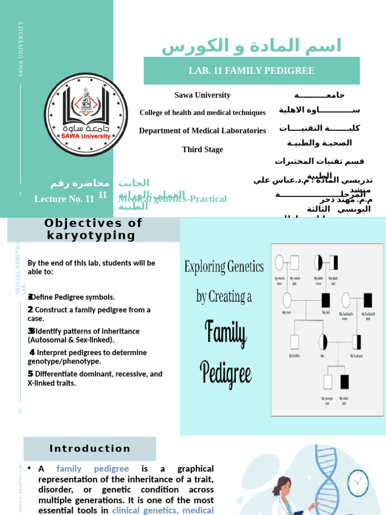 Lab 11 Family Pedigree | PDF