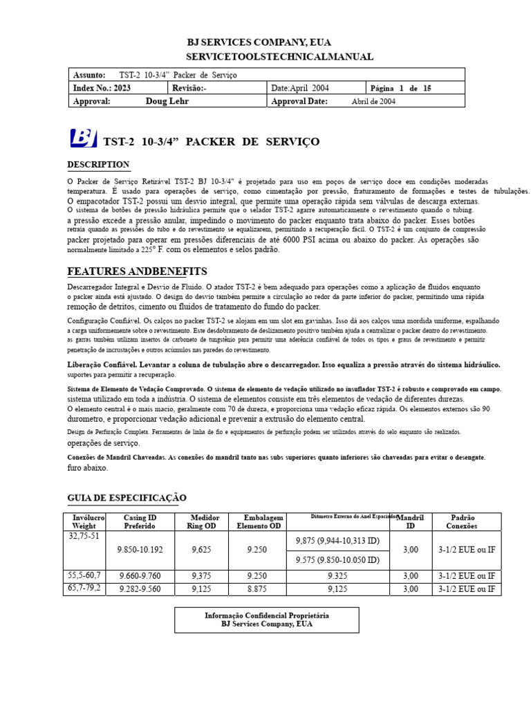 Manual Técnico do Packer TST-2 10-3/4” | PDF | Pressão | Poço de petróleo