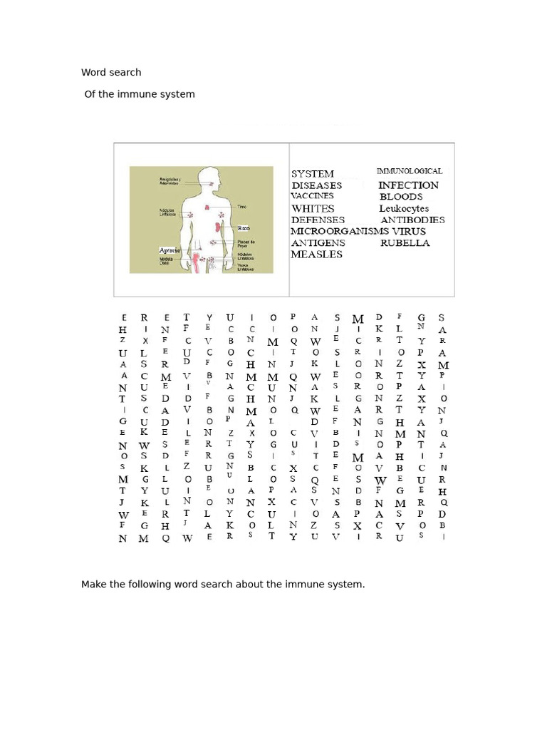 Immune System | PDF