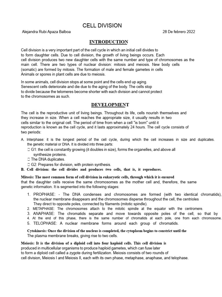 CELL DIVISION essay | PDF | Mitosis | Meiosis