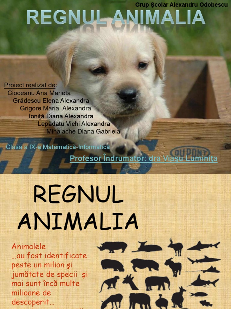 regnul-animalia-pdf