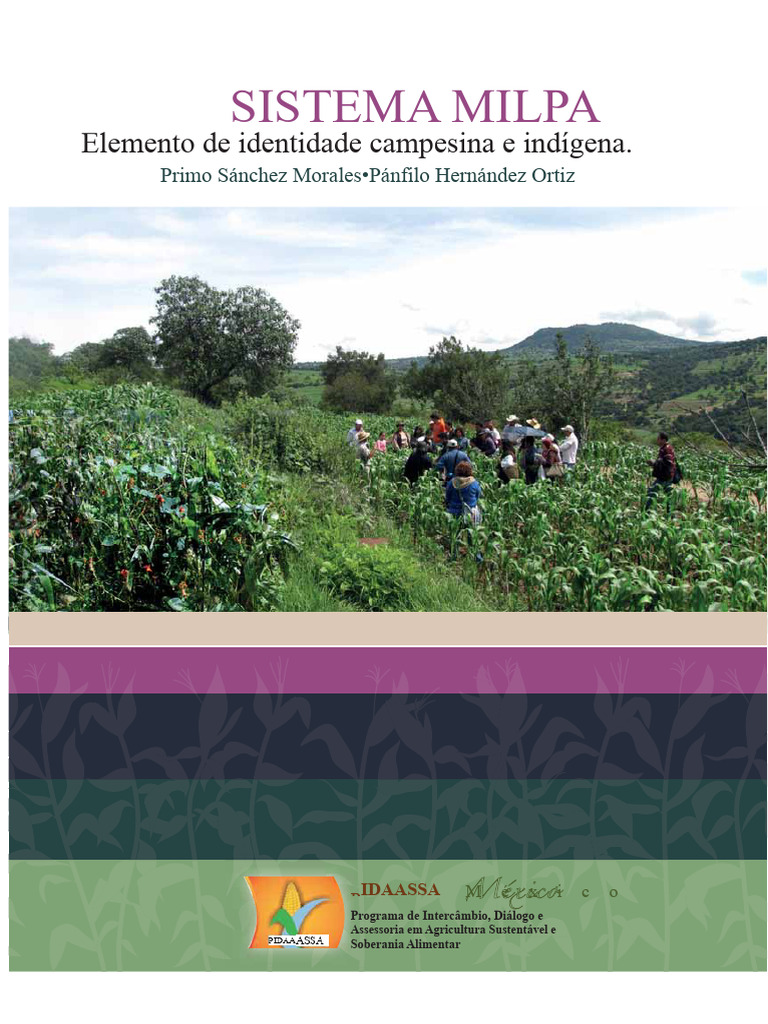 Sistema Milpa: Agricultura Sustentável Mexicana | PDF | Agricultura | Milho