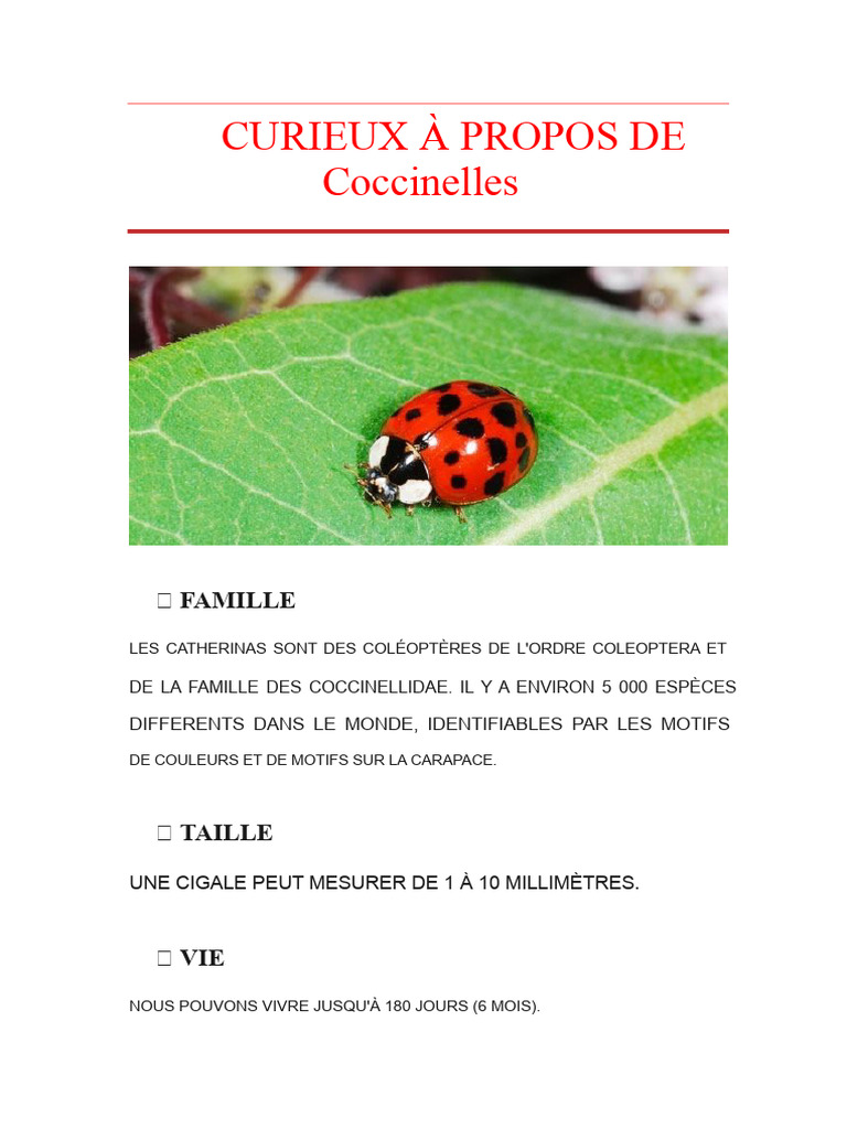 Tout sur les coccinelles : espèces et caractéristiques | PDF ...