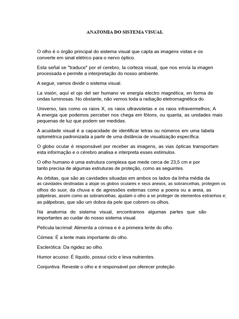 Anatomia do Sistema Visual Humano | PDF | Olho | Sistema visual