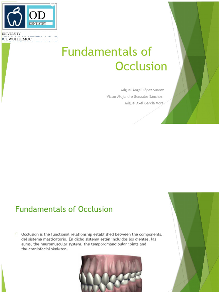 Fundamentals of Occlusion | PDF | Medical Specialties | Tooth