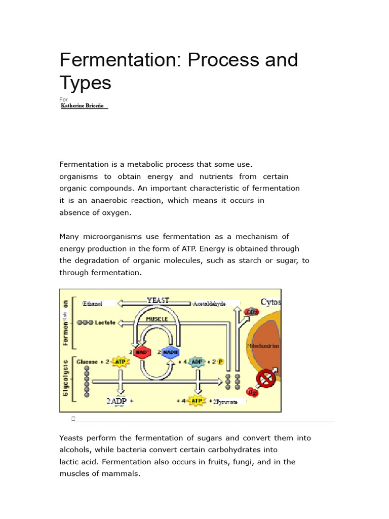 Understanding Fermentation Processes | PDF | Fermentation | Cellular ...