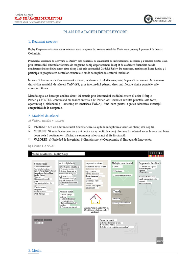 Plan de Afaceri Ripley | PDF