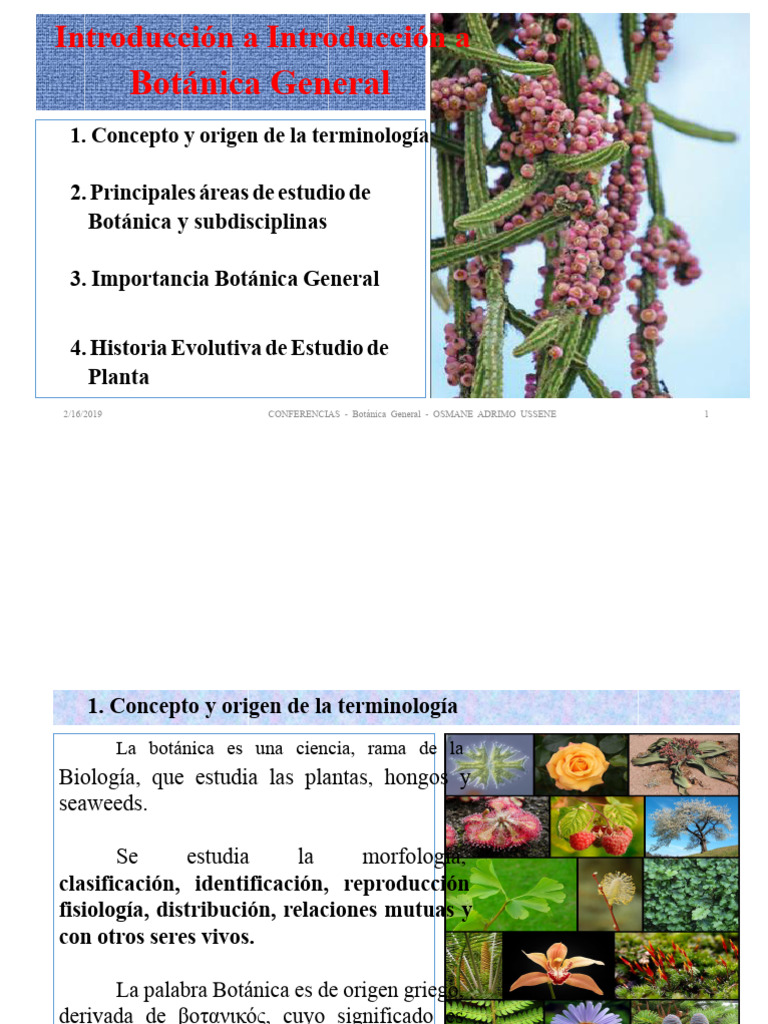 Introducción a la Botánica General | PDF | Botánica | Plantas