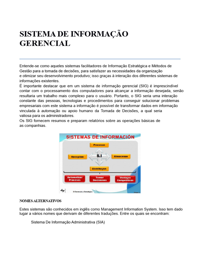 Sistema de Informação Gerencial: Definição e Funções | PDF | Sistema de ...